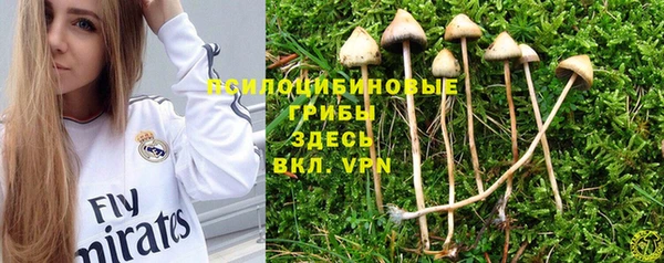 2c-b Балахна