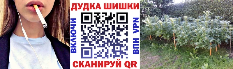 Каннабис AK-47  Обоянь 